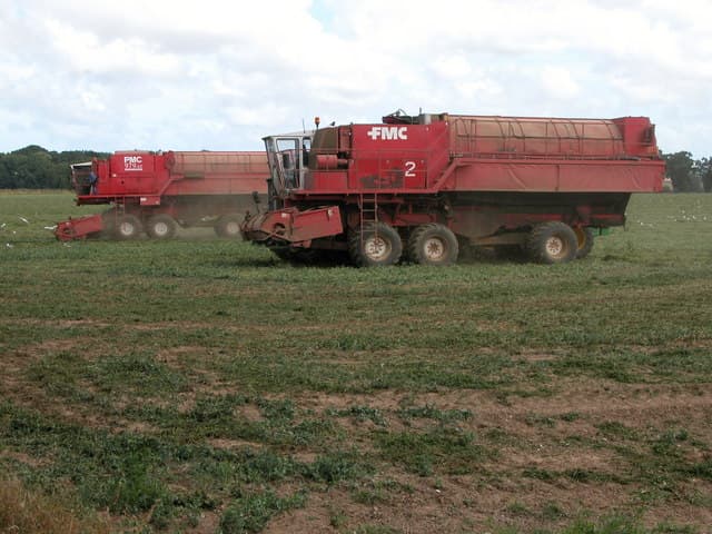 Imagine pentru Mazăre: Pea Harvesting, near Itteringham - geograph.org.uk - 205565