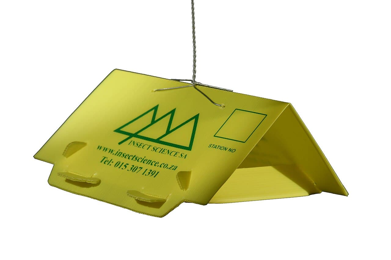 Imagine pentru Molia tomatelor: Yellow Delta Trap®