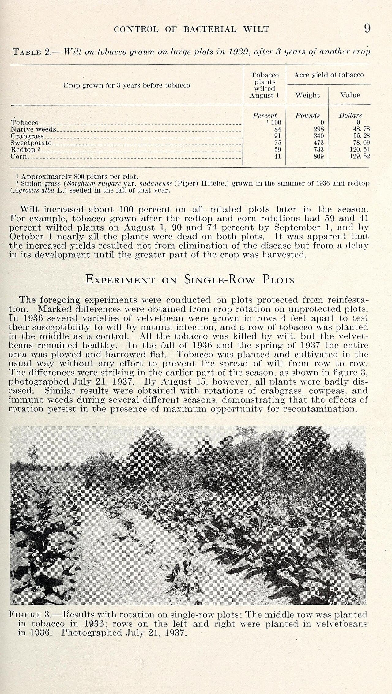 Imagine pentru Ofilirea bacteriană: Control of bacterial wilt (Bacterium solanacearum) of tobacco as influenced by crop rotation and chemical treatment of the soil (Page 9) BHL41830647
